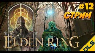 Elden Ring  SHADOW OF THE ERDTREE  Секретный босс на кладбище 12 серия