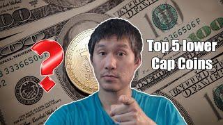 Top 5 lower-cap(outside Top 20) Alt coin picks.