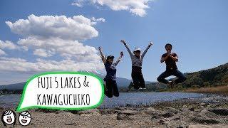 FUJI FIVE LAKES & KAWAGUCHIKO // 富士五湖 & 河口湖 (Japan Travel Vlog)