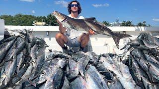 WE LIMITED OUT IN AN HOUR!! $PAY DAY$ (Kingfish Commercial Fishing)