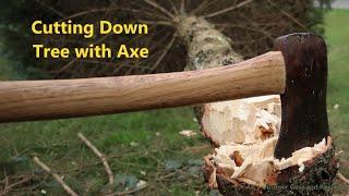 Felling a Tree with an Axe | AK's Outdoor Gear and Reviews