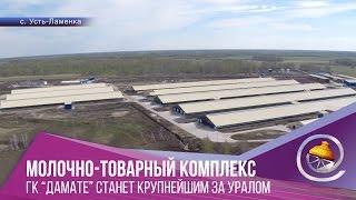 Молочно-товарный комплекс ГК "Дамате" станет крупнейшим за Уралом