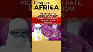 After Mpox, Marburg Virus Scare | Firstpost Africa