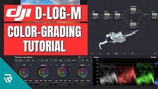 HOW I COLOR-GRADED D-LOG-M Footage for DJI Mini 4 Pro and Got AMAZING Results!