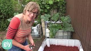 How to make an easy self-watering wicking bed from an IBC.