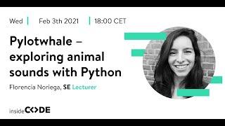 insideCODE: Pylotwhale - exploring animal sounds with Python