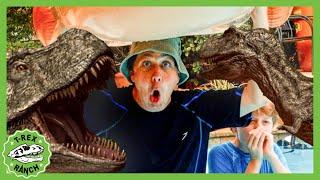 Raptor Scare - Swimming Pool Fight |  T-Rex Ranch Dinosaur Videos