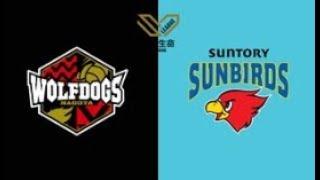 LIVE WOLFDOGS NAGOYA VS SUNTORY SUNBIRDS