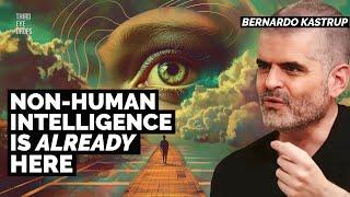 Consciousness, UFOs & Non-Human Intelligence | Bernardo Kastrup