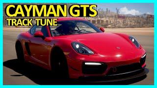 Forza Horizon 5  - Tuning The Porsche Cayman GTS To Be Track Dominant