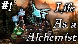 Skyrim Life as an Alchemist Episode 1 | Forest Guardian