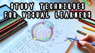How to Study if You Are a Visual Learner