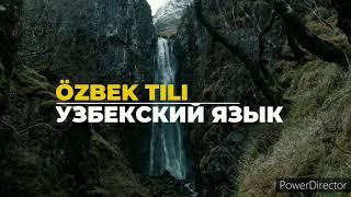 Об истории и происхождении узбекского языка рассказывает Жавохир Маматкулов