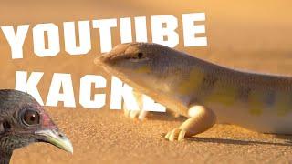 Bodenlose Tiere, die bodenlos sind - YouTube Kacke