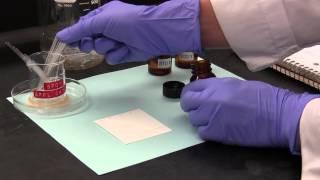 Thin-Layer Chromatography (TLC)