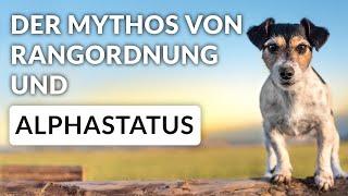 Über den veralteten Mythos von Rangordnung und Alphastatus in der Mensch-Hund-Beziehung