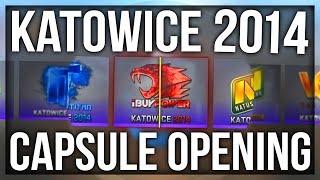 10x KATOWICE 2014 CAPSULE OPENING (THE iBUYPOWER HOLO DREAM)