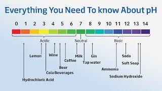 Using a pH Meter - Everything You Need to Know About pH