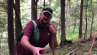 White Baneberry