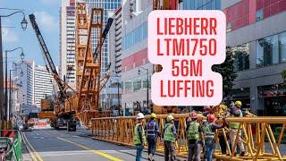 LIEBHERR LTM1750 - 9.1 with 56m Luffing Jib Setup | Part Two