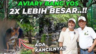 PERESMIAN AVIARY BANG YOS .! 2X LIPAT DARI AVIARY GW..!