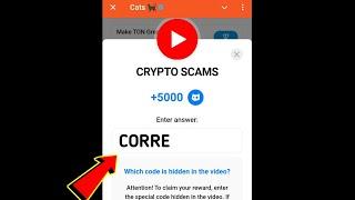 CRYPTO SCAMS Cats Video Code | CRYPTO SCAMS cats video code today