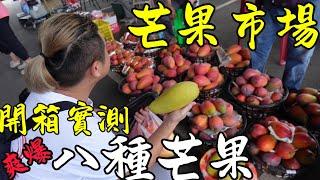 台南玉井芒果市場丨開箱八種芒果看完你也知道怎麼買丨芒果產季到了看到什麼就買什麼