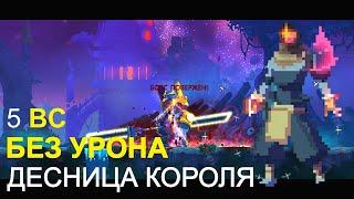 ДЕСНИЦА КОРОЛЯ БЕЗ УРОНА I БИЛД ОТ ПОДПИСЧИКА I DEAD CELLS I 5 КЛЕТКА