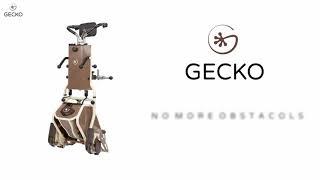 Gecko  - the new era of stairway climbers