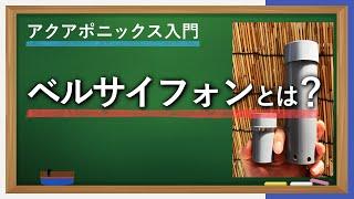 オートサイフォンの一つ、ベルサイフォンをアクアポニックスに使用する理由