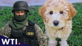 Should police stop shooting dogs? | We the Internet TV