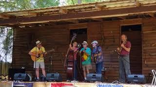 Coon Bottom Creek - Shiloh - at the Great Southern Music Festival - May 2018