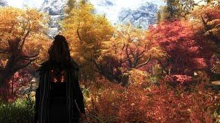 Skyrim ENHANCED - Photorealistic Forest ambience  | 2000 Mods