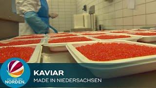 Kaviar made in Niedersachsen vom ASC-zertifizierten "Heidefisch"-Betrieb