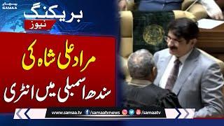 Murad Ali Shah Entry Into Sindh Assembly | Breaking News | SAMAA TV