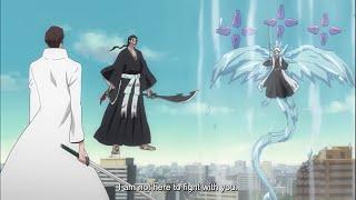 Aizen VS Captains & Vizards English Sub