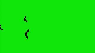 Cartoon Halloween Bats Flying through the screen on a Green Screen (HD EXCLUSIVE)