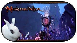 NEVERWINTER: Undermountain  17 - Seelenfrieden und die Schattenwache [Modul 16]