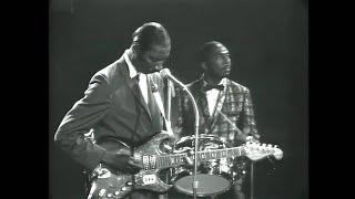 Hound Dog Taylor & Little Walter • “Shake Your Money Maker” • 1967 [Reelin' In The Years Archive]