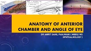 ANATOMY OF ANTERIOR CHAMBER AND  ANGLE OF EYE