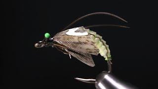 Fly Tying a Realistic Caddis Pupa