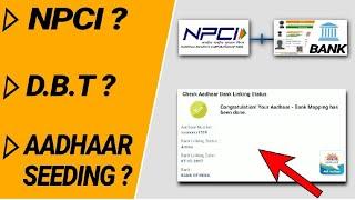 Difference Between Aadhaar Seeding Authentication And Aadhaar Linking