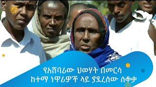 የአሸባሪው ህወሃት በመርሳ ከተማ ነዋሪዎች ላይ ያደረሰው ሰቆቃ