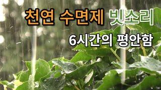 마음을 편안하게 만드는 숲속의 빗소리 l  10분후 어두운 화면