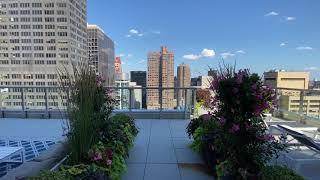 325 Lexington Ave Rooftop Video Tour