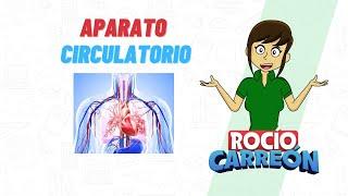 Aparato Circulatorio