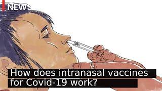 How does intranasal vaccines for Covid-19 work? | Bharat Biotech Covid19 vaccine