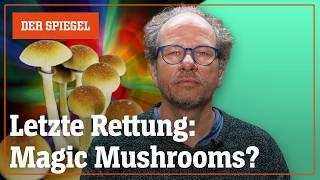 Helfen Magic Mushrooms gegen Depressionen? – Shortcut | DER SPIEGEL