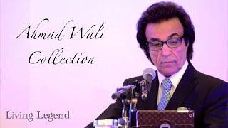 Ahmad Wali Wonderful Collection | Living Legend