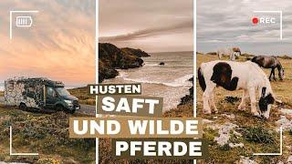 Hustensaft und wilde Pferde I Die besten Stellplätze in Nordspanien I Vanlife Spanien I MLT 580 4x4